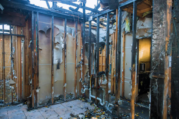 Professional Smoke Odor Removal technician working in Plainsboro, NJ